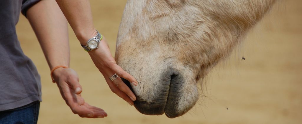 Communication non verbale