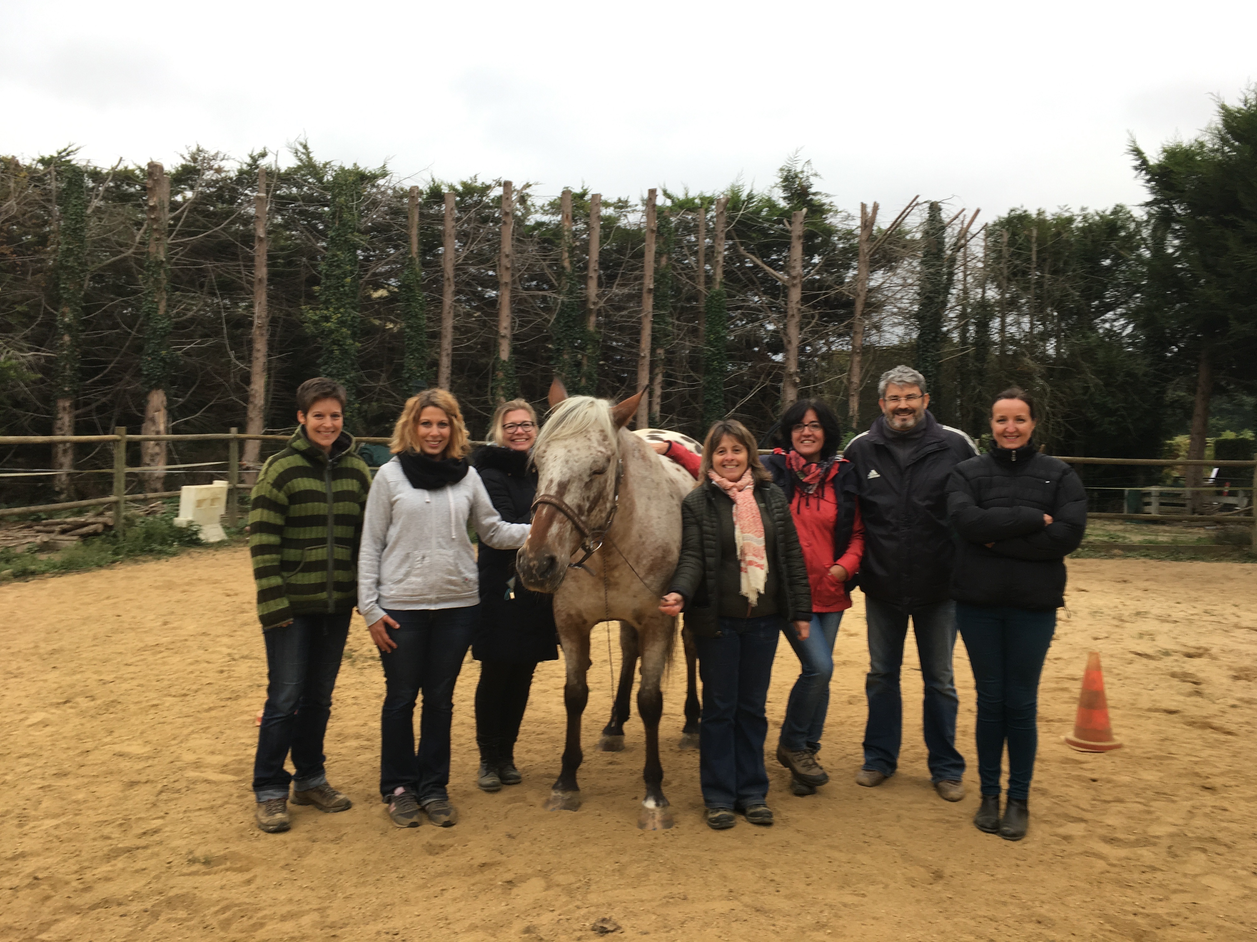 Vidéo témoignage Horse Coaching