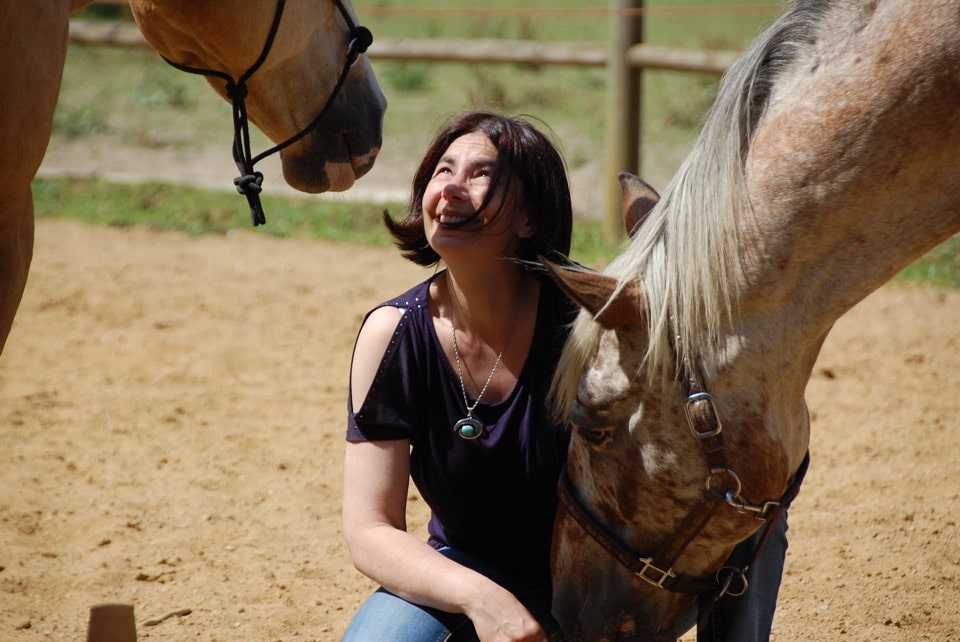 Témoignages Coaching facilité par le Cheval – La compilation