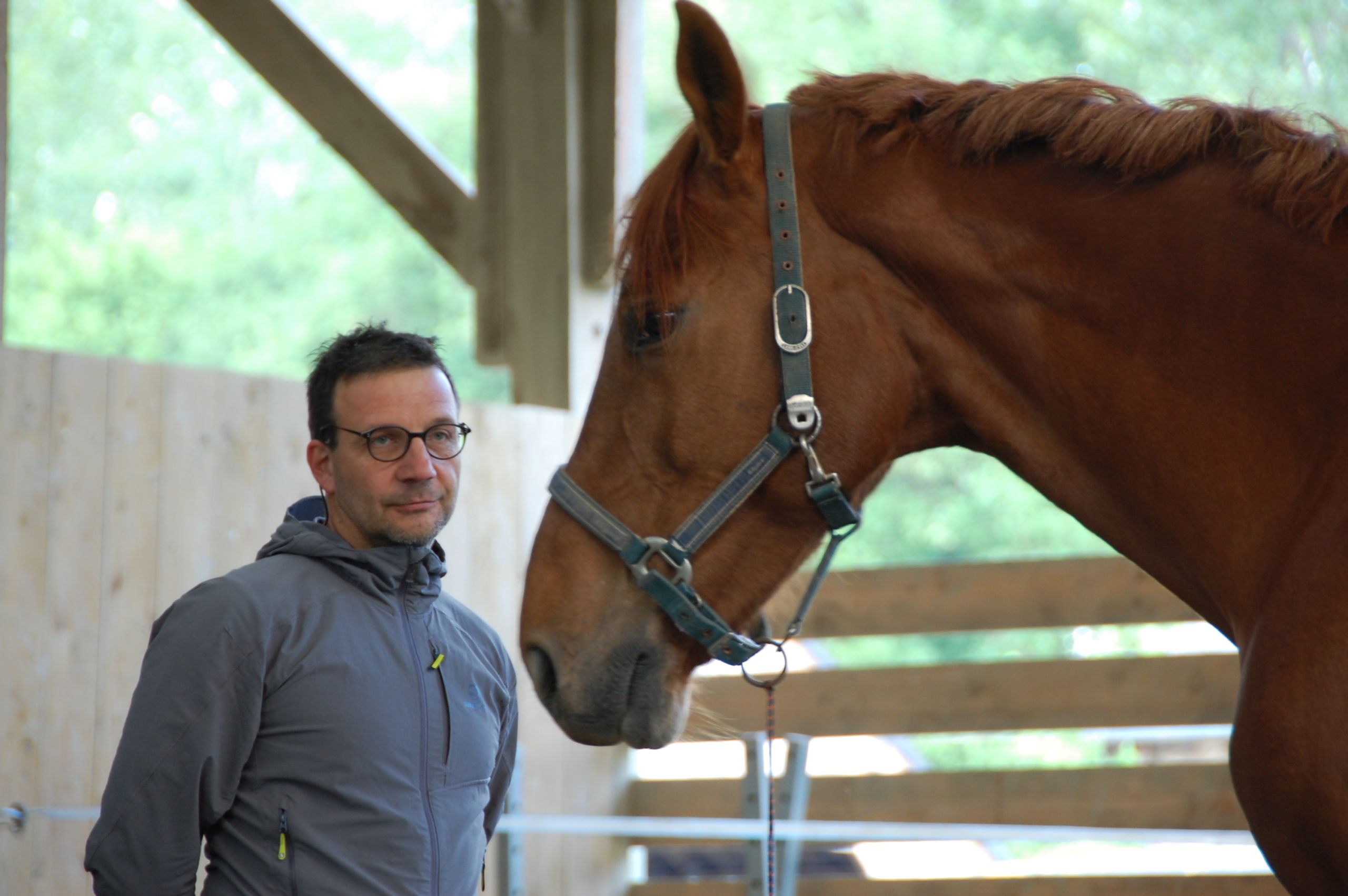 Leadership facilité par le Cheval AGP Coaching