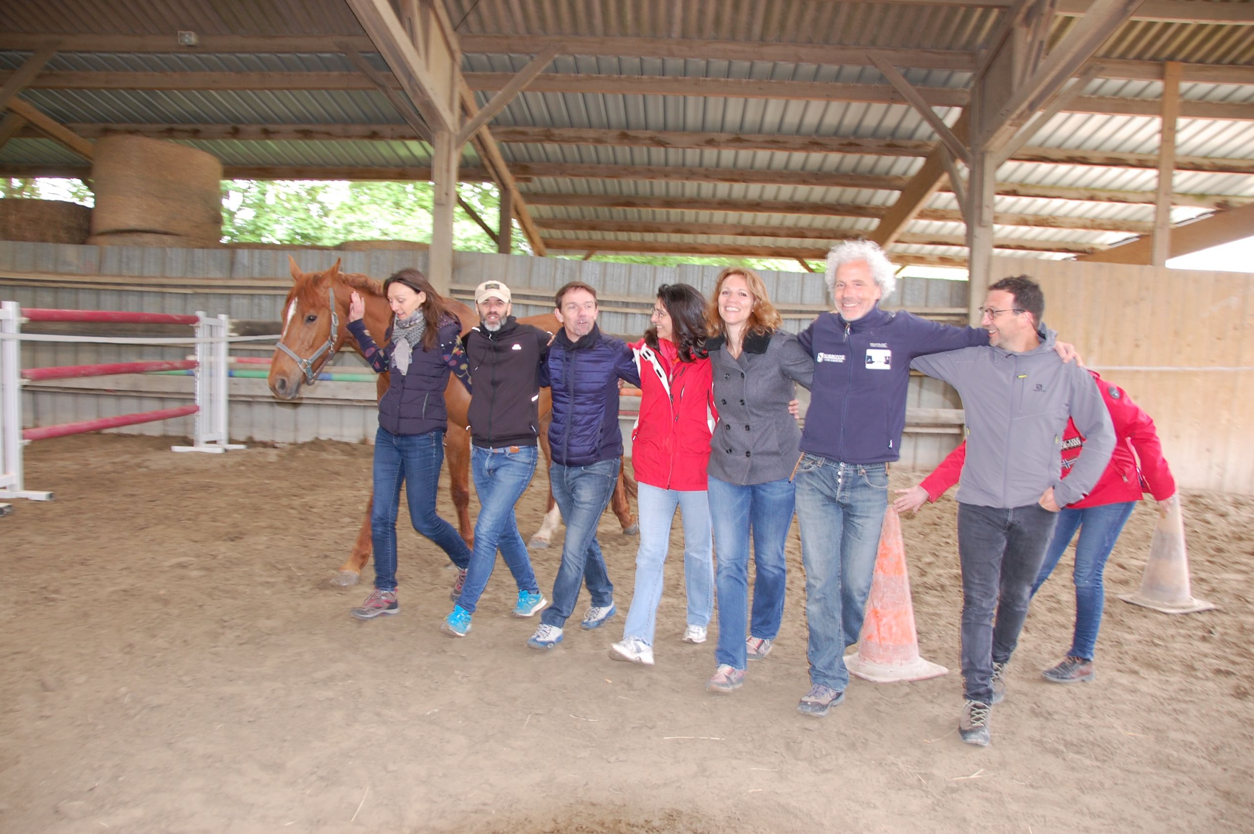 Cohésion d'équipe facilitée par le Cheval AGP Coaching